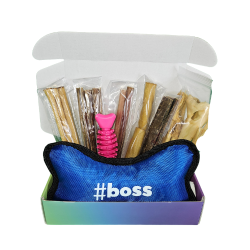 Are Dog Subscription Boxes Worth It? Here’s What Dog Parents Say!