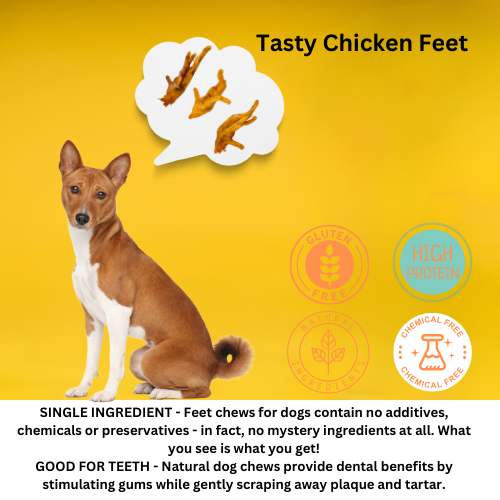 Chicken Feet 10 count