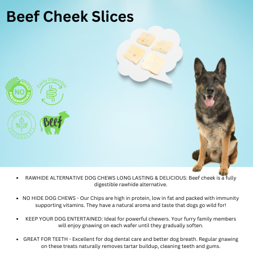 Heavy Chewer Box Variety Hard Chew Box