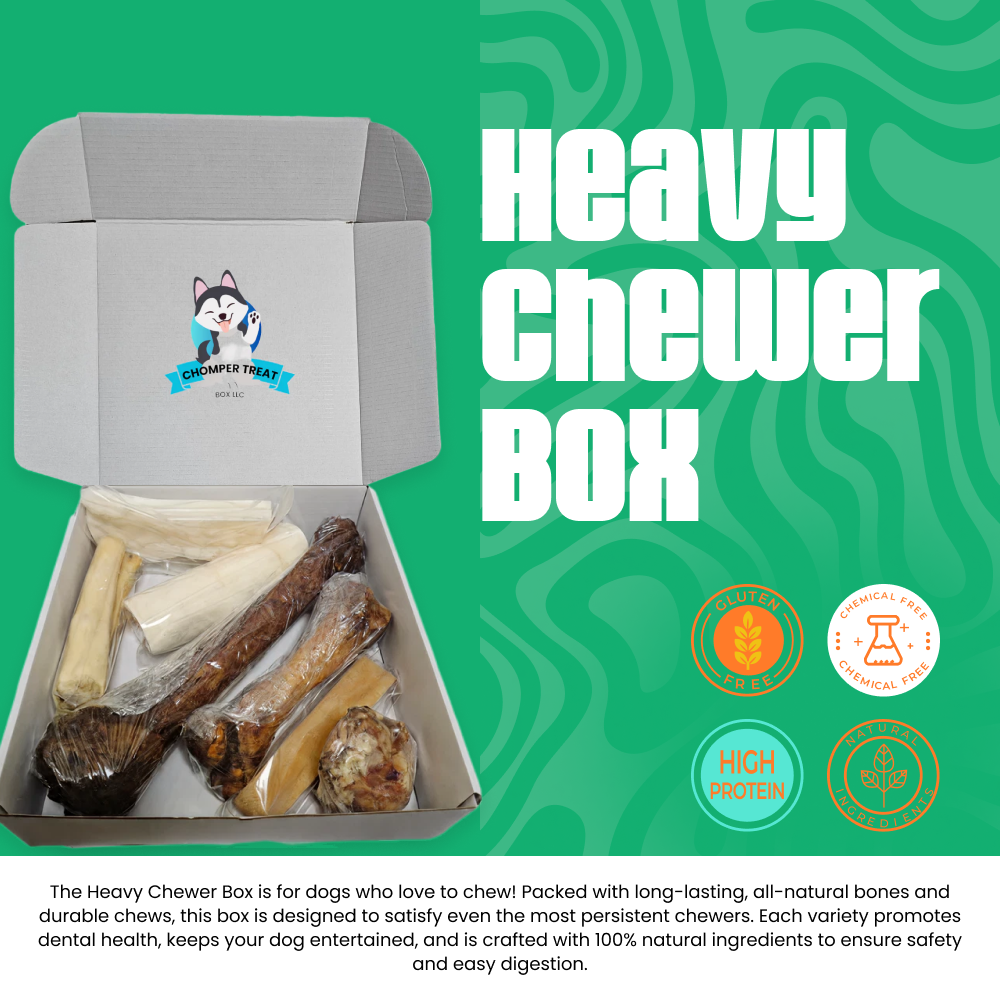 Heavy Chewer Box