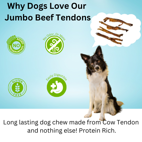 Jumbo Beef Tendons 3 count