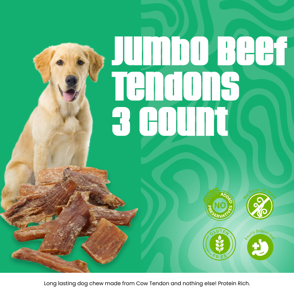 Jumbo Beef Tendons 3 count
