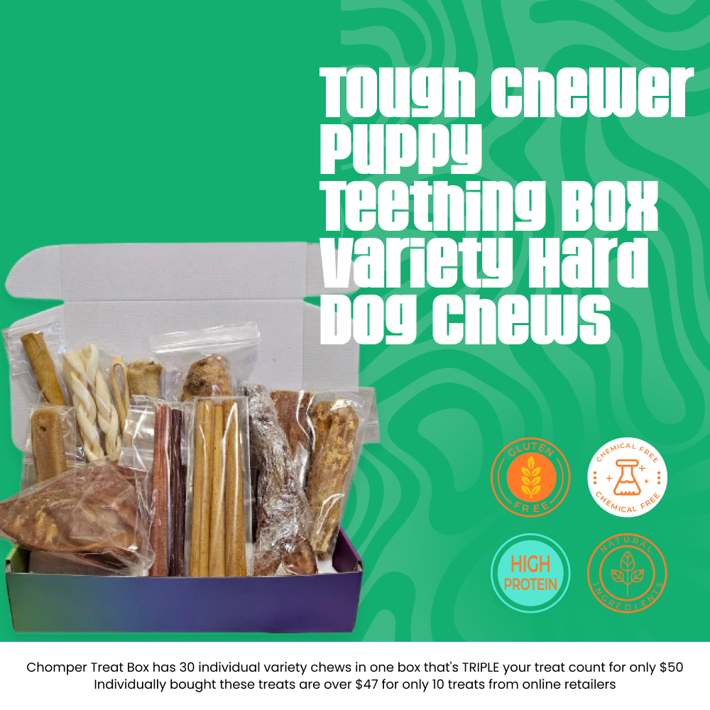 Tough Chewer Puppy Box – 17 Long Lasting Natural Chews