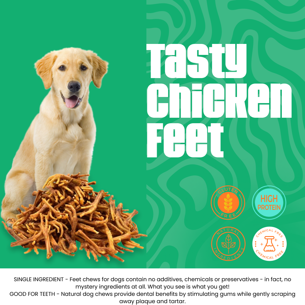 Chicken Feet 10 count