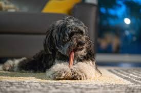 Light Chewer Puppy Box – 16 Easy to Digest Teething Chews