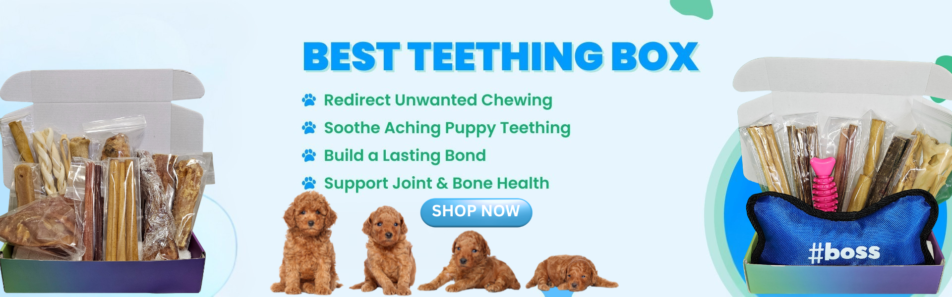 Celebrate National Puppy Day with the Perfect Chew Box for Your New Pup