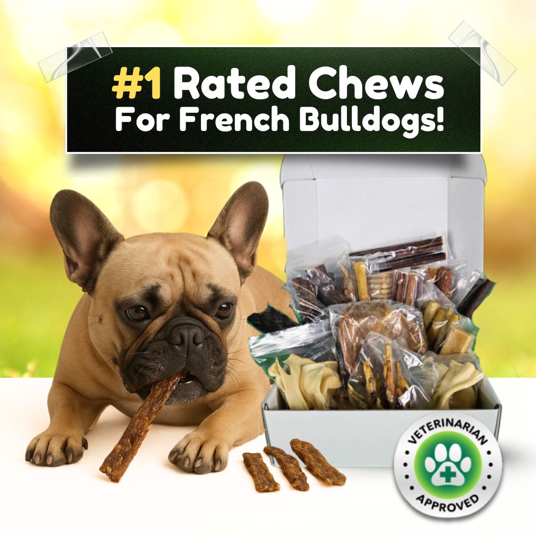 The Original Chomper Treat Box – A Month of Premium Chews: #1 Rated Chews for French Bulldogs