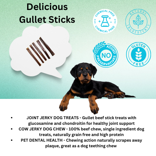 Beef Gullet Sticks 8 count