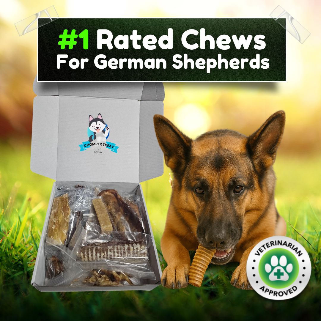 The Original Chomper Treat Box – A Month of Premium Chews: #1 Rated Chews for German Shepherds