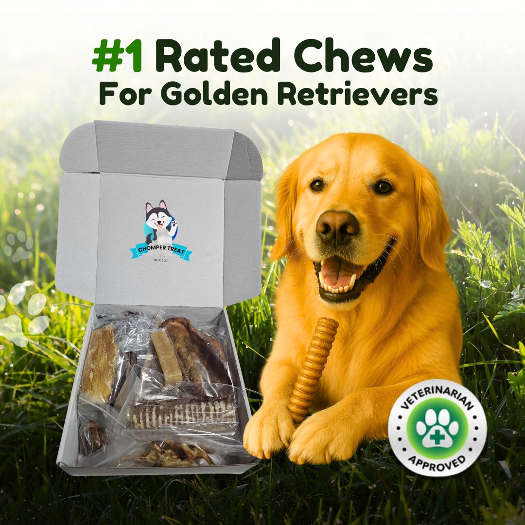 The Original Chomper Treat Box – A Month of Premium Chews: #1 Rated Chews for Golden Retrievers