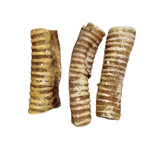 Beef Trachea 8 count