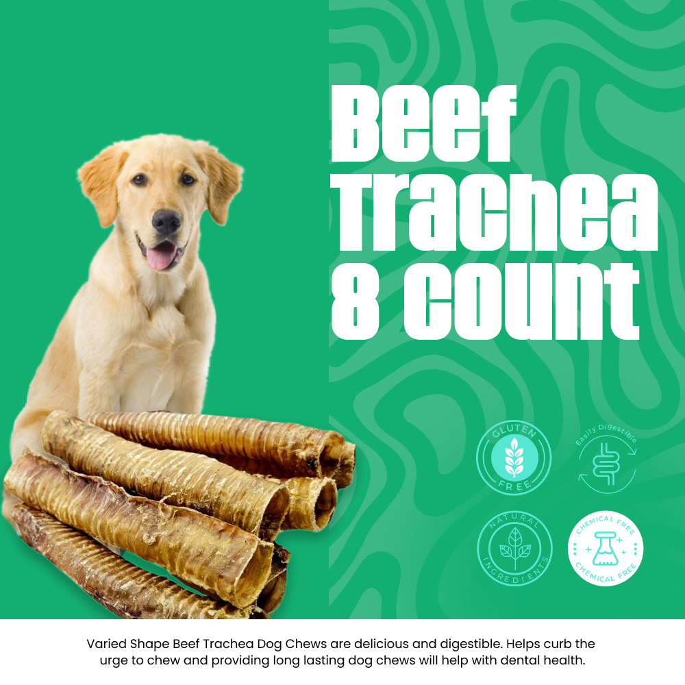 Beef Trachea 8 count