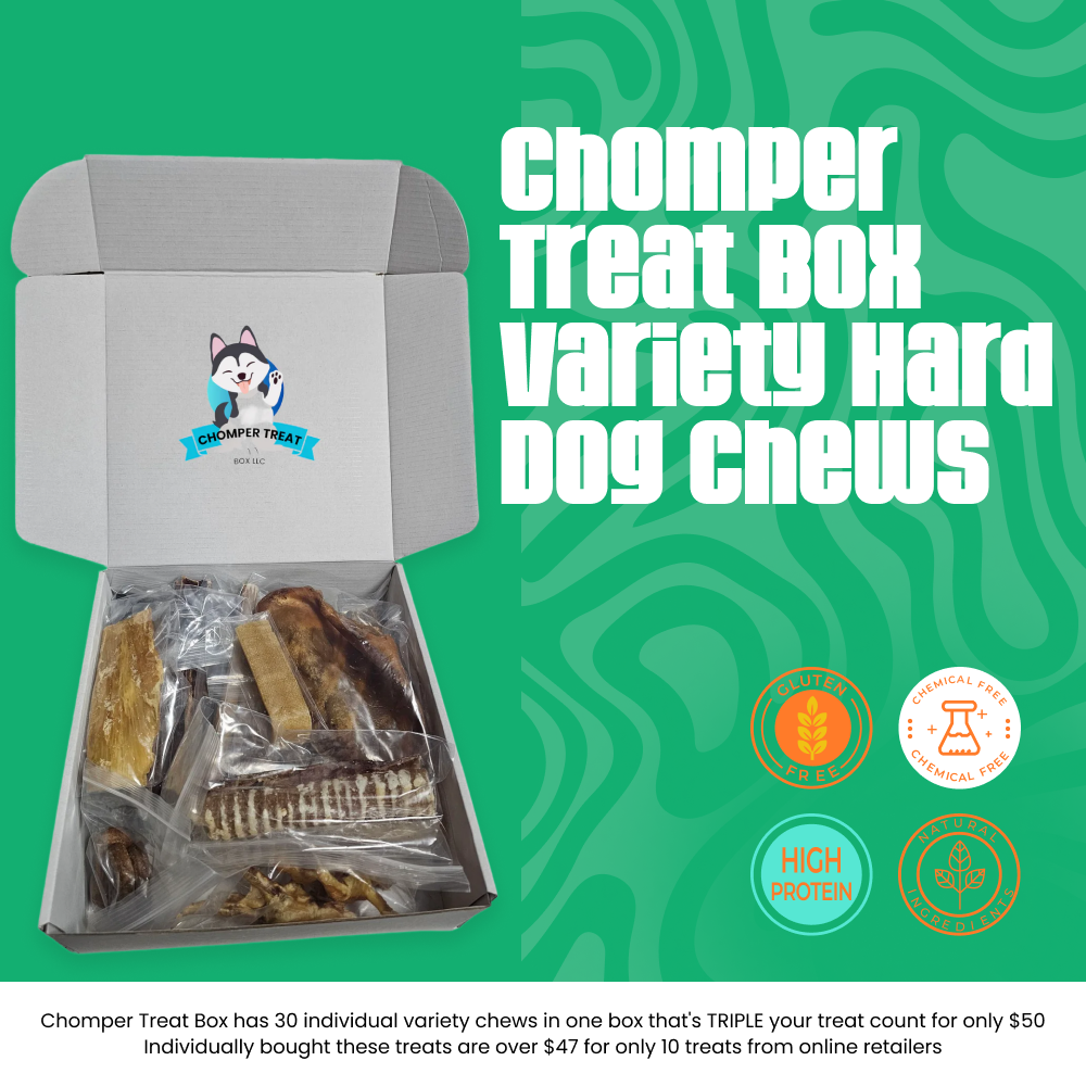 The Original Chomper Treat Box – A Month of Premium Chews: #1 Rated Chews for French Bulldogs