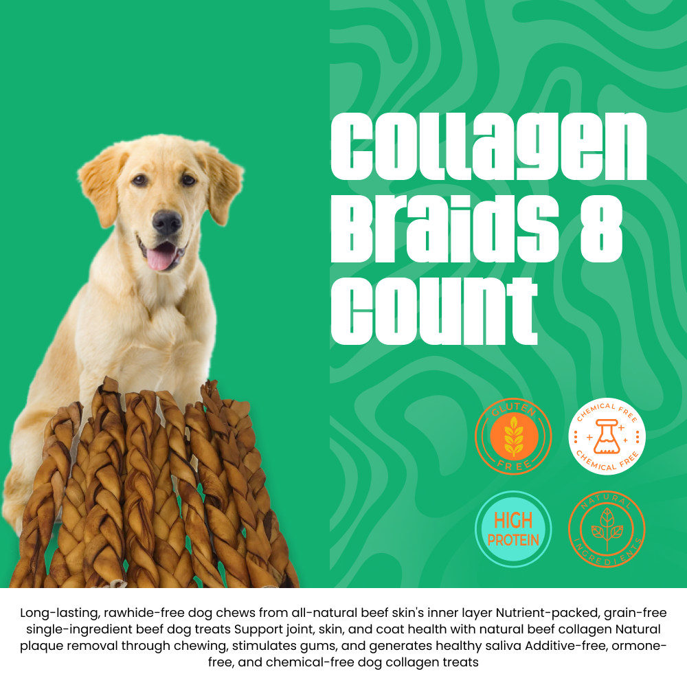 Beef Collagen Braids 8 count