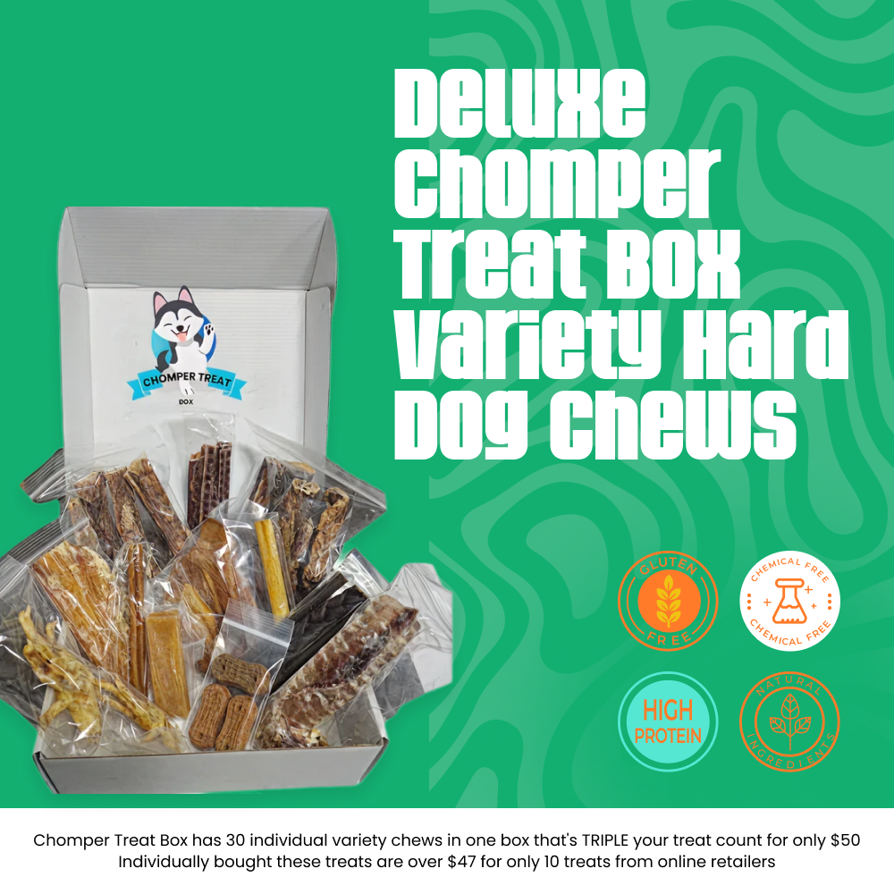 Deluxe Chomper Treat Box Variety Hard Dog Chews