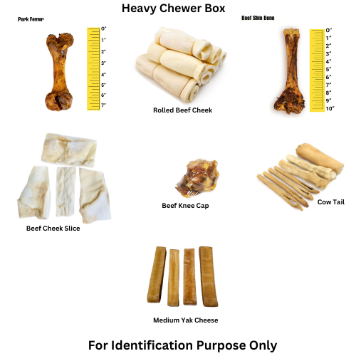 Heavy Chewer Box