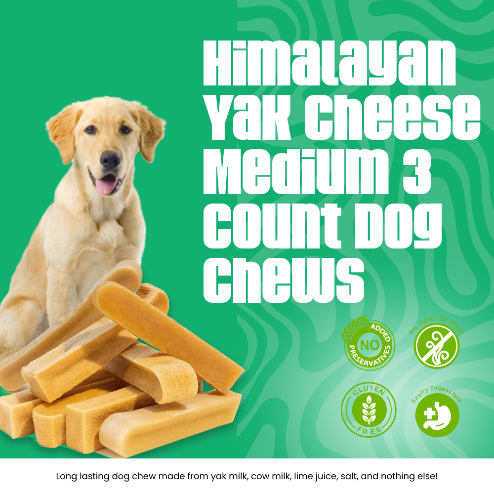 Himalayan Yak Cheese Medium 3 Count Dog Chews