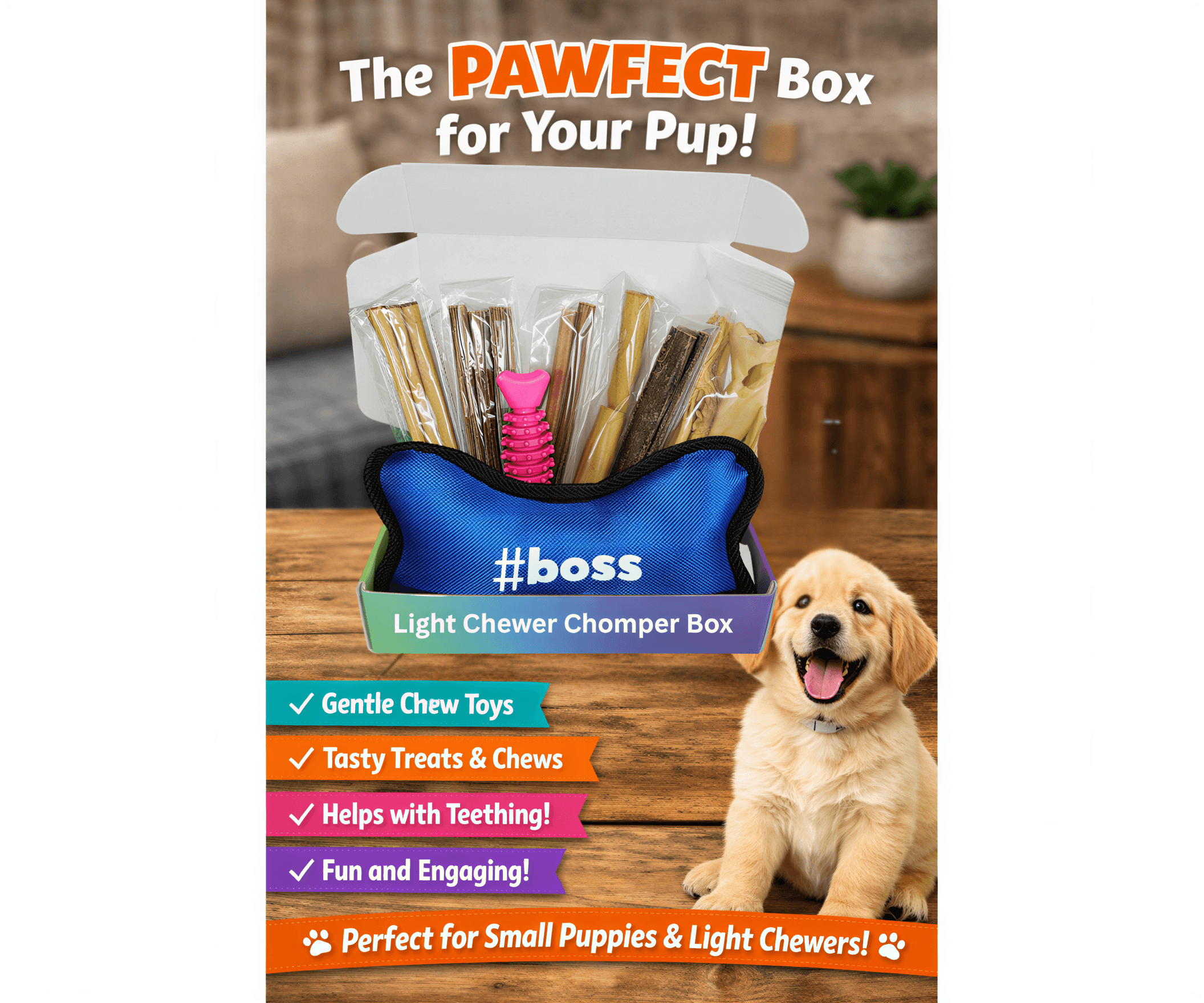 Light Chewer puppy teething box with various natural chews and a blue chew toy, displayed with a golden retriever puppy.