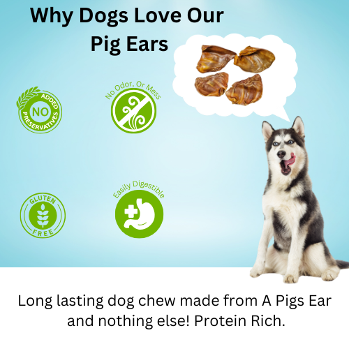 Pig Ears 10 Count