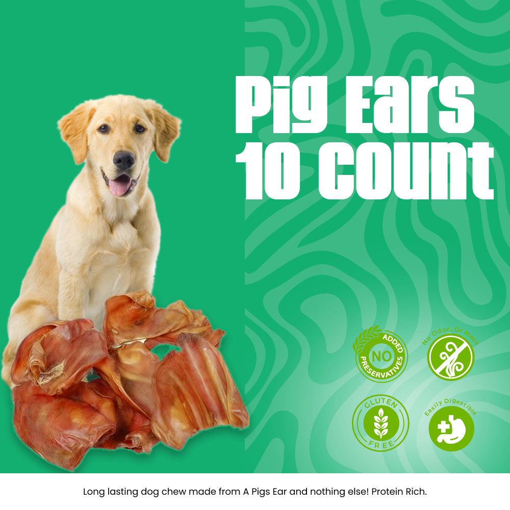 Pig Ears 10 Count