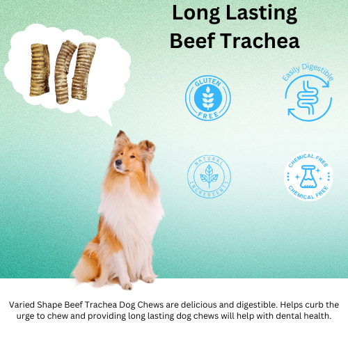 Beef Trachea 8 count