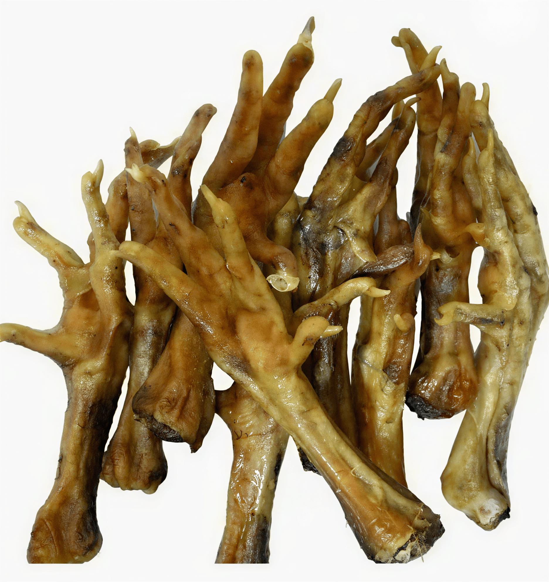 Ten dried yellow and brown chicken feet dog treats arranged in a cluster against a white background.