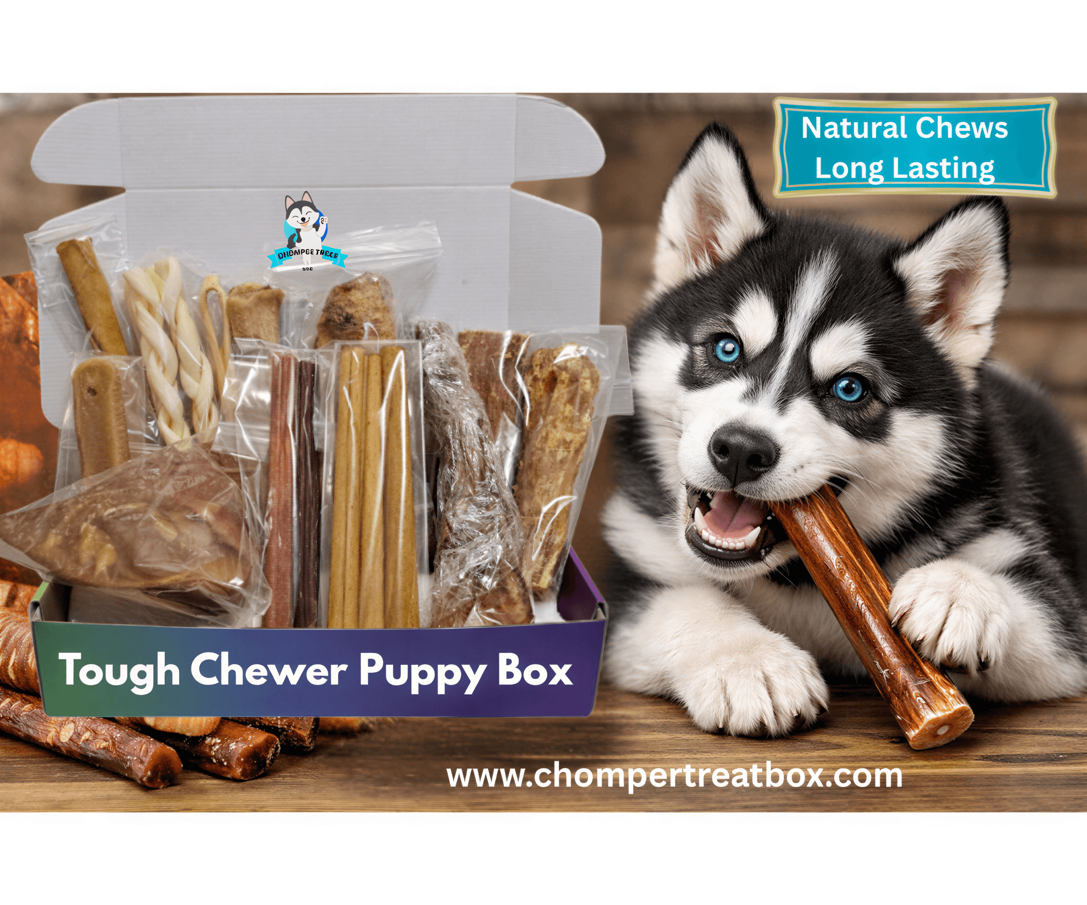 Husky puppy chewing a brown treat next to a Tough Chewer Puppy Box filled with assorted natural dog chews.