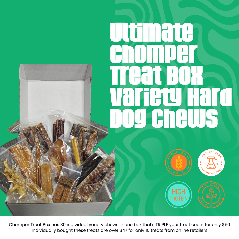 Ultimate Chomper Treat Box Variety Hard Dog Chews