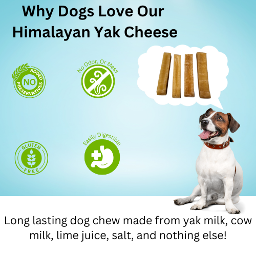 Himalayan Yak Cheese Medium 3 Count Dog Chews